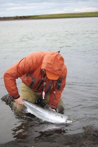 guided fly fishing tours in iceland