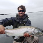 Sea trout fishing in Iceland