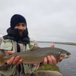 Fly fishing in Iceland